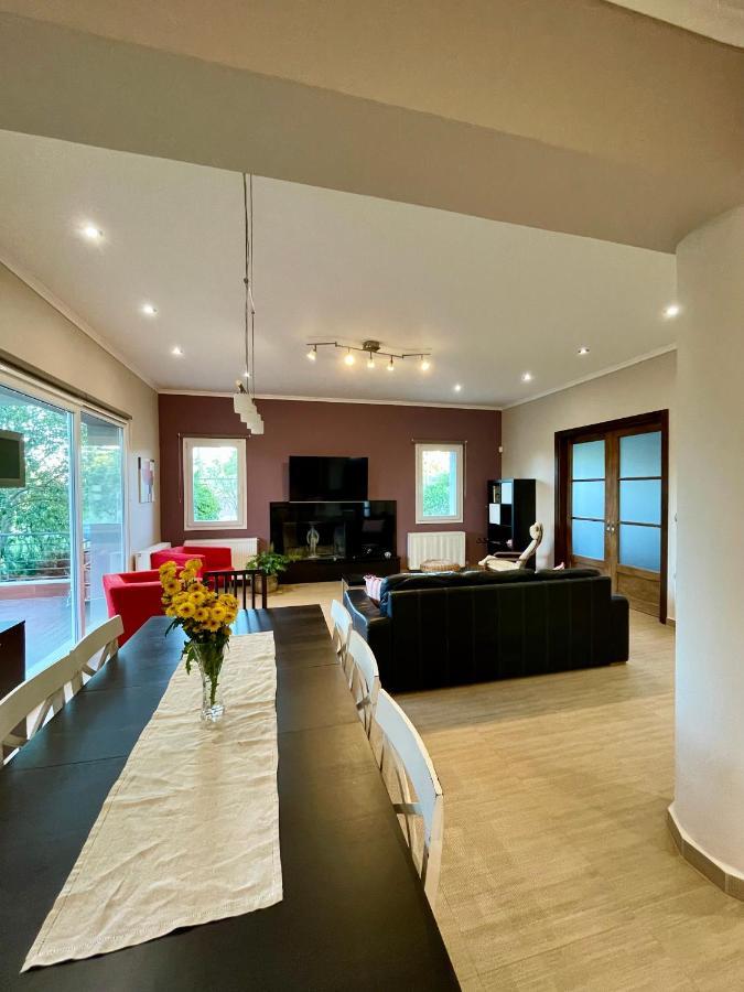 Apollon Paian , Luxury Nature Relax Lefkada City Luaran gambar