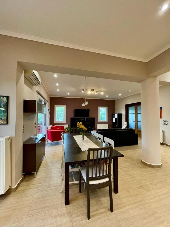 Apollon Paian , Luxury Nature Relax Lefkada City Luaran gambar