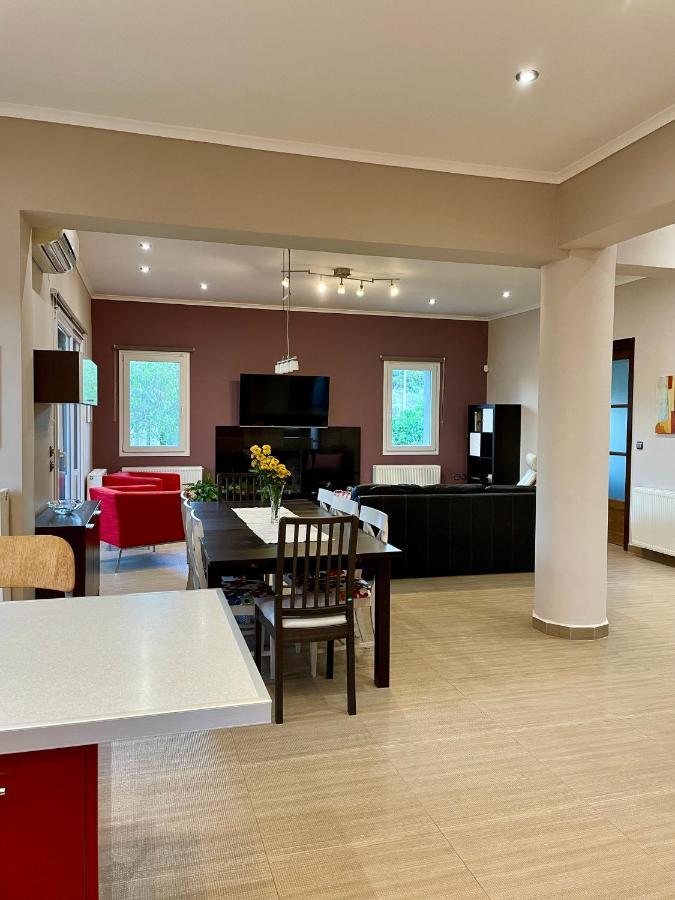 Apollon Paian , Luxury Nature Relax Lefkada City Luaran gambar